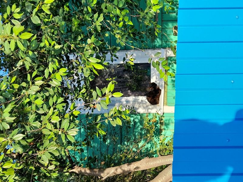 Luxury poolside retreat symbolizing business success.